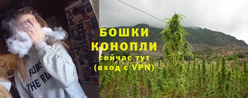 Марихуана SATIVA & INDICA  Лодейное Поле 